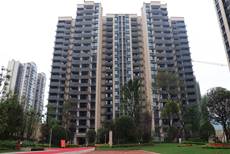 1562212717974989.jpg 3